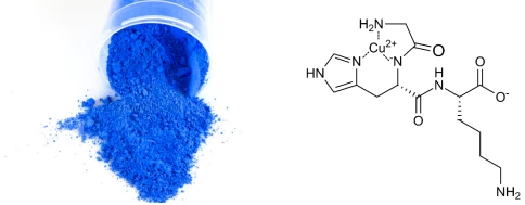 qy herb GHK-Cu Powder qy herb GHK-Cu Powder