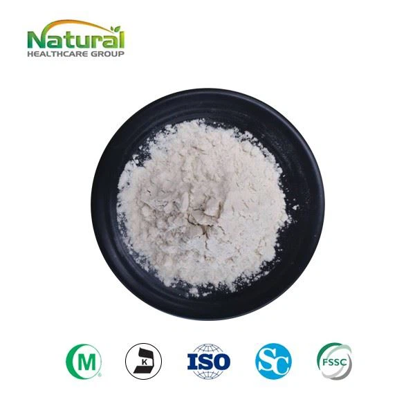 Bitter Apricot Seed extract amygdalin 98%-01