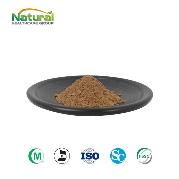 Korditsepsi seene ekstrakti pulber