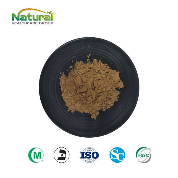 Ocimum Sanctum lehtede ekstrakti pulber